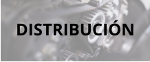 DISTRIBUCIÓN